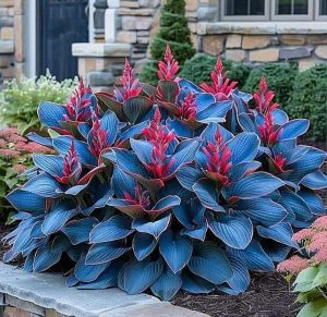 Хоста Грин Фог купить по цене от 669р. в интернет-магазине «Посадика» с доставкой почтой в в Можайске и по всей России – [изображение №1].