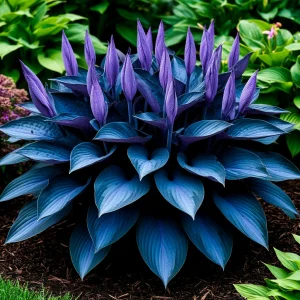 Хоста Сикрет Гров купить по цене от 570р. в интернет-магазине «Посадика» с доставкой почтой в в Можайске и по всей России – [изображение №1].